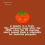 interesting-facts-about-vegetables-61__880.webp
