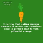 interesting-facts-about-vegetables-41__880.webp