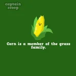 interesting-facts-about-vegetables-71__880.webp