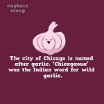 interesting-facts-about-vegetables-131__880.webp