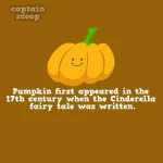 interesting-facts-about-vegetables-91__880.webp