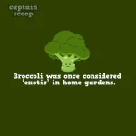 interesting-facts-about-vegetables-101__880.webp