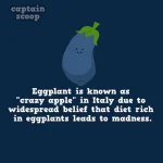 interesting-facts-about-vegetables-111__880.webp