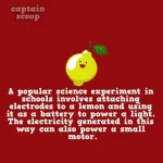 interesting-facts-about-vegetables-151__880.webp
