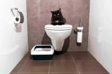 04-train-cat-use-a-toilet.webp 04-train-cat-use-a-toilet.webp