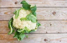 appg9qp.webp
