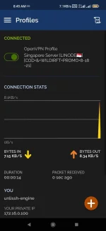 Screenshot_2021-08-19-08-45-24-936_net.openvpn.openvpn.webp