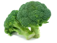 ha7-1024x768.webp