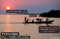 Twitterlight2.webp