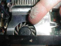 fan_5.webp