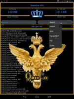 dm5mbm5.webp