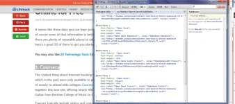 firebug2-1024x455.webp firebug2-1024x455.webp