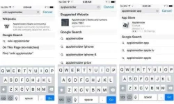 19quick-website-search.webp