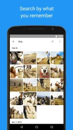 google-photos.webp google-photos.webp