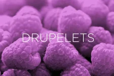 precise-names-drupelets.webp precise-names-drupelets.webp
