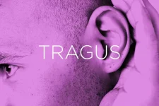 precise-names-tragus.webp precise-names-tragus.webp