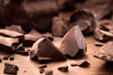 05-food-kills-dogs-chocolate.webp