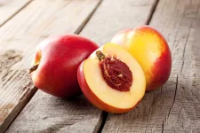 07-food-kills-dogs-peaches.webp