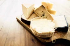 11-food-kills-dogs-dairy.webp