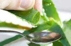 stye-aloe.webp stye-aloe.webp