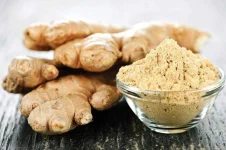 gingerr-1024x682.webp gingerr-1024x682.webp