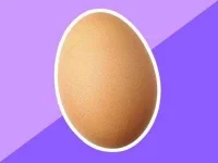 09-homemade-facial-masks-recipes-egg.webp
