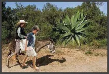 man-and-son-with-donkey.webp