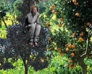 short_stories_strangerinthegarden2.webp