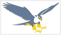 flying-falcon-bird.webp flying-falcon-bird.webp