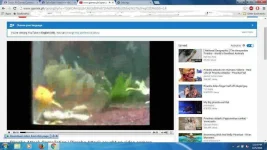 75QiHcu.webp