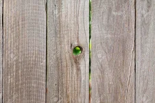oden-fencing-background-with-knot-hole-Stock-Photo.webp