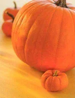 big-pumpkin.webp big-pumpkin.webp