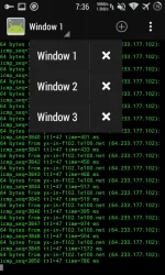 to6l1e7.webp