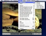 GOM-Player_3.webp