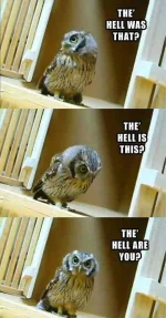 YZzBmPf.webp
