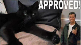 approved.webp approved.webp