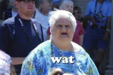 Wat8.webp Wat8.webp