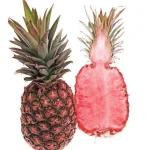 pine-696x696.webp pine-696x696.webp