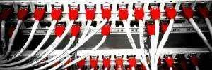 network-switches--1.webp