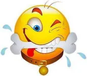 dog-with-a-bone-smiley-face.webp