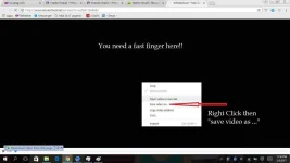 OToeVC9.webp OToeVC9.webp