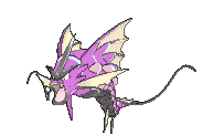 WhiteBeast.gif WhiteBeast.gif