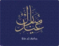 HF5d7Dl.webp