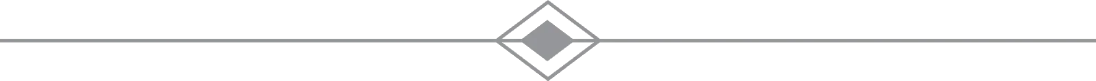 divider.webp