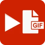 Video-to-GIF.webp