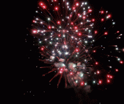 556bfd298098d20007fc8c420a72ba19.gif