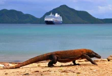komodo_-_azamara_club_cruises.webp