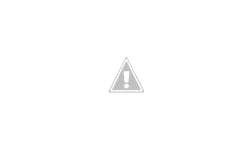 Capture.webp Capture.webp