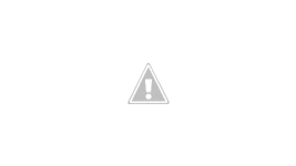 Untitled.webp