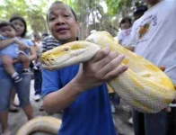 python.webp python.webp